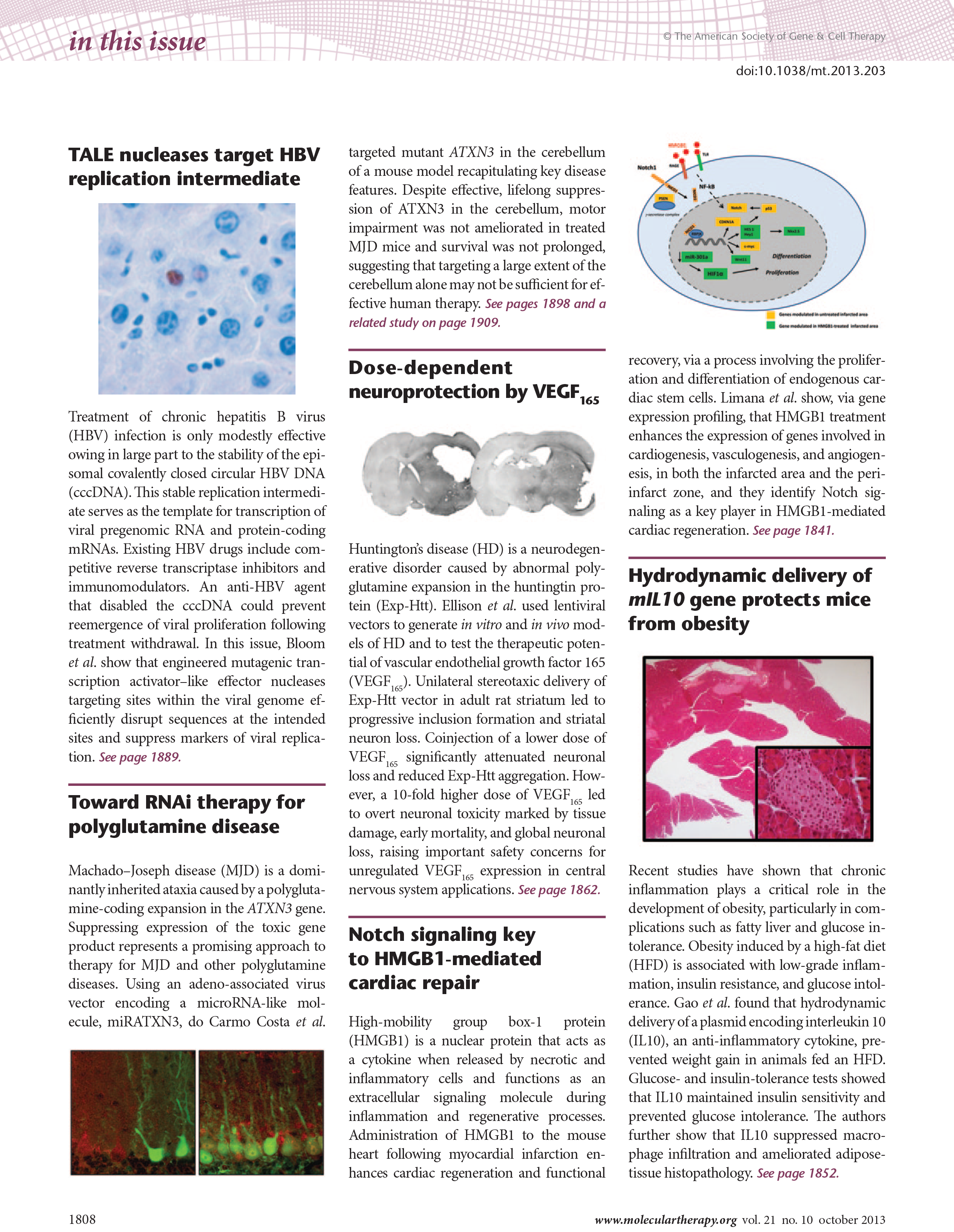 ITI Molecular Therapy October 2013